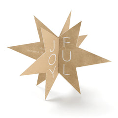 Winter Wedding Themes