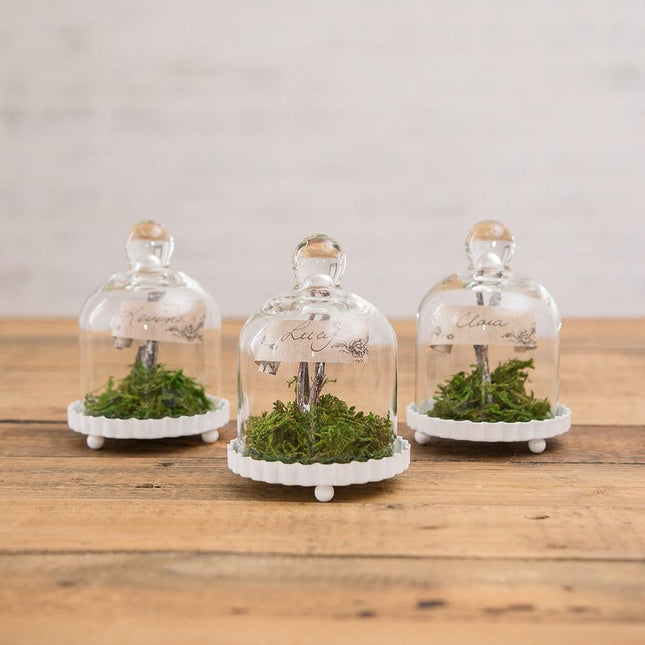 Miniature Bell Jar with Base and Lid Wedding Party Cupcake Favor (Set of 4)