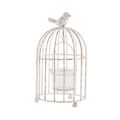 Love Birds and Bird Lovers